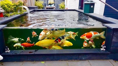 ca-koi-ho-kieng