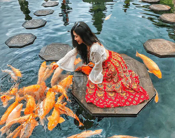 ca-koi-than-thien-voi-con-nguoi1