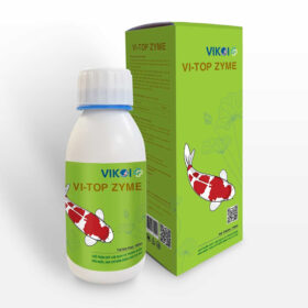 VI-TOP ZYME: Chế phẩm giúp làm sạch và trong nước
